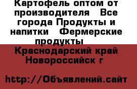 Картофель оптом от производителя - Все города Продукты и напитки » Фермерские продукты   . Краснодарский край,Новороссийск г.